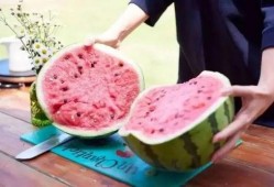 淮工食堂吃瓜,瓜果飘香，美食共享的校园时光