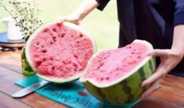 淮工食堂吃瓜,瓜果飘香，美食共享的校园时光