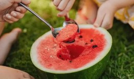 吃瓜套路真西瓜,真西瓜背后的秘密大公开