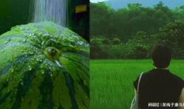 吃瓜下雨天,夏日清凉时光