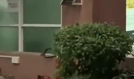 厦门吃瓜新闻事件,一场网络舆论的风暴与反思