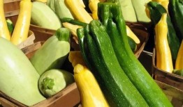 慕吃瓜wa.,揭秘网络红人的幕后故事