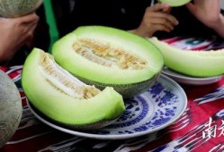 大瓜除了吃馅还怎么吃,除了吃馅，还有这些创意吃法