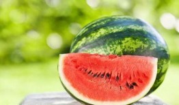 广体西体吃瓜,揭秘校园热点事件背后的真相