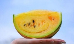 云南吃的第一瓜,第一瓜的甜蜜邂逅