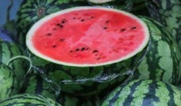 婷儿户外吃瓜,瓜果飘香乐翻天