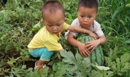 河津吃瓜网,揭秘当地热点事件，畅享民间趣味生活