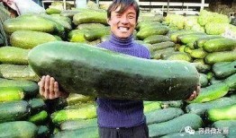 做吃瓜的人,见证时代变迁的旁观者