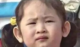 贵圈吃瓜爆料,吃瓜爆料背后的真相与内幕