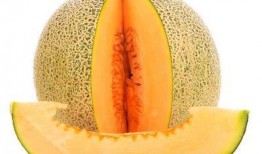 吃棒棒糖可以吃哈密瓜吗,跨界美食的奇妙邂逅