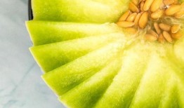 快到了吃瓜的季节,迎接吃瓜季的甜蜜狂欢