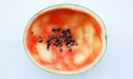 下雨吃瓜原视频,一场别开生面的下雨吃瓜盛宴