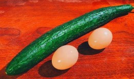 吃瓜鸡蛋,揭秘美食背后的趣味故事